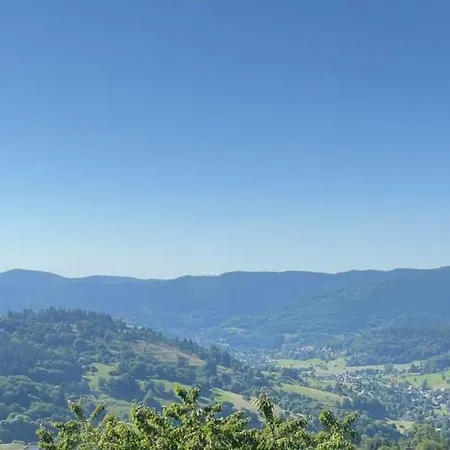 Apartment Au Petit Meuh'ster Munster (Haut-Rhin)