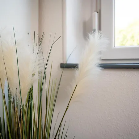 Daire Au Petit Meuh'ster *