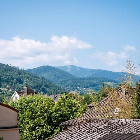 Daire Au Petit Meuh'ster