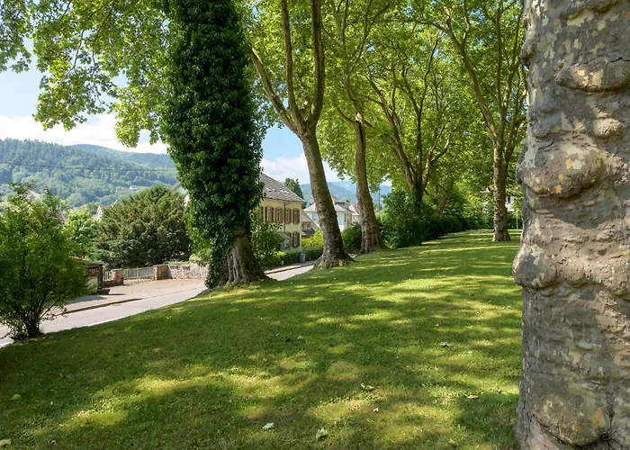 Apartman Au Petit Meuh'ster *