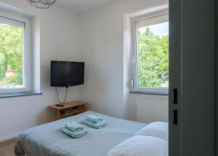 Apartman Au Petit Meuh'ster Munster