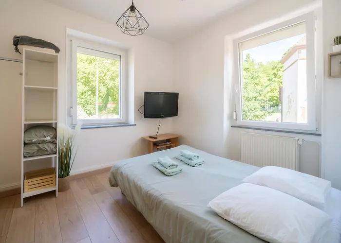 Au Petit Meuh'ster Apartman *