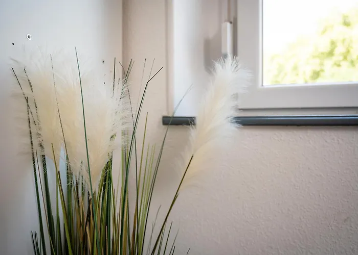 Apartman Au Petit Meuh'ster *