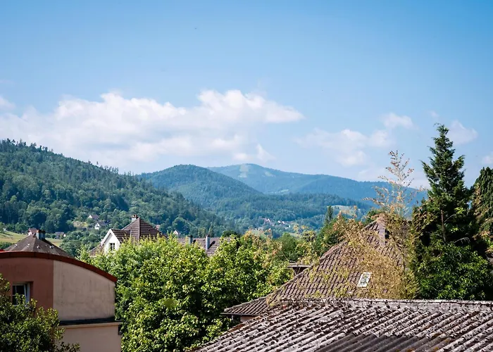 Apartman Au Petit Meuh'ster